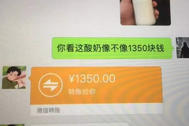 贵州为什么选择专业追讨公司来处理您的债务纠纷？